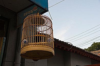 《古墓丽影：暗影》新视频展示两个未使用的游戏机制